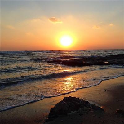 丰禾棋牌手机app下载