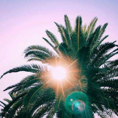 196体育(官方)APP下载安装