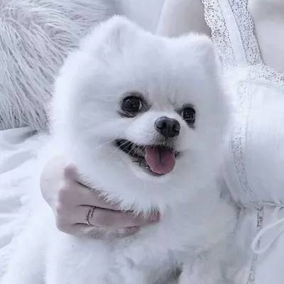 南宫体育app下载app下载