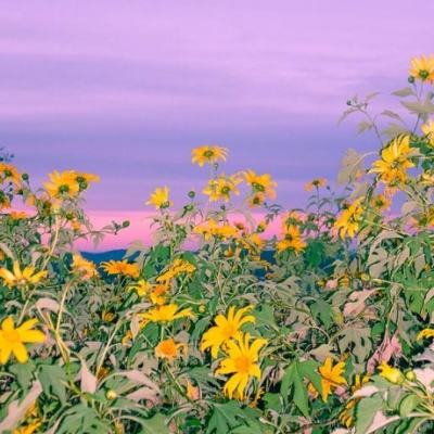 江南娱乐jn平台下载