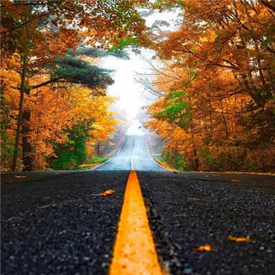 196体育(官方)APP下载安装