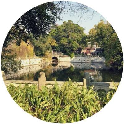 亚搏apo官网下载